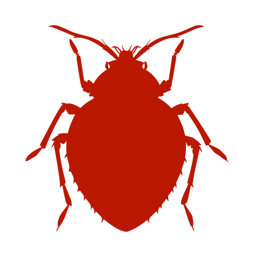 Commercial Services 4 bedbug