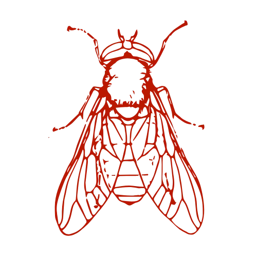 Commercial Services 5 fly